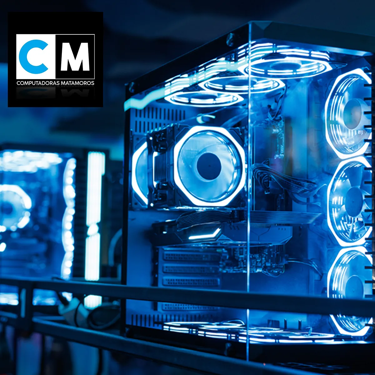 Categoria -Componentes